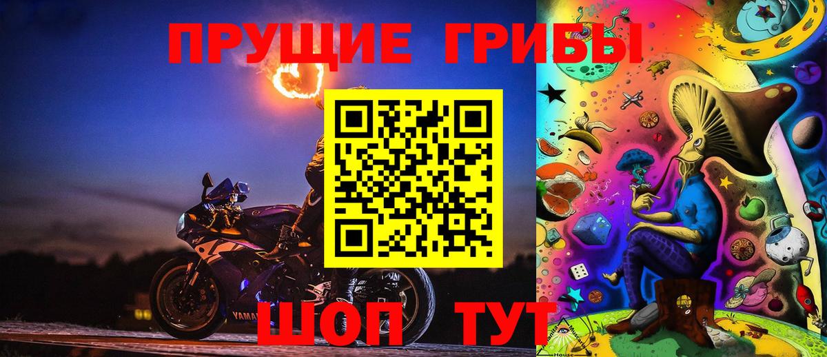 Псилоцибиновые грибы Cubensis Среднеуральск